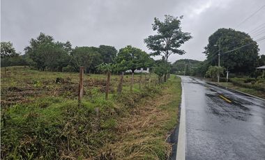 Finca en venta  de 3.5 Has en Penonomé (DR)