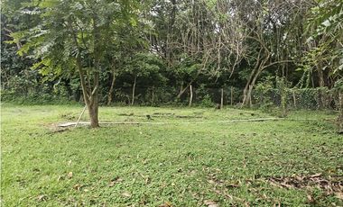 Finca en venta  de 3.5 Has en Penonomé (DR)