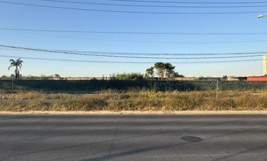 Terreno en Renta en Av. Universidad – Ubicación Estratégica