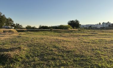 Terreno en Renta en Av. Universidad – Ubicación Estratégica