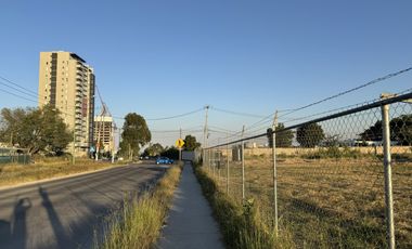 Terreno en Renta en Av. Universidad – Ubicación Estratégica