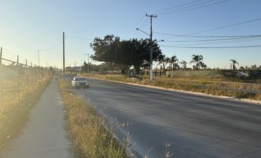 Terreno en Renta en Av. Universidad – Ubicación Estratégica