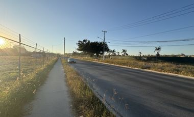 Terreno en Renta en Av. Universidad – Ubicación Estratégica