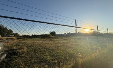 Terreno en Renta en Av. Universidad – Ubicación Estratégica