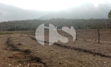 VENTA DE TERRENO  EN MONTECRISTI