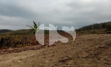 VENTA DE TERRENO  EN MONTECRISTI