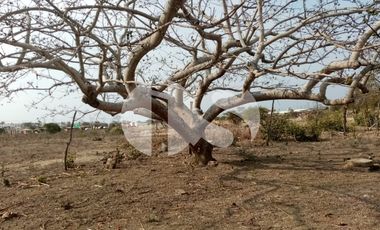 VENTA DE TERRENO  EN MONTECRISTI