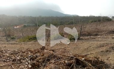 VENTA DE TERRENO  EN MONTECRISTI