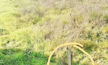Sitio en Venta en ORILLA DE MAULELT 14