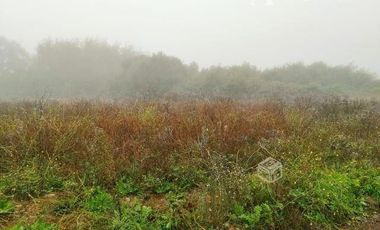 Sitio en Venta en ORILLA DE MAULELT 14