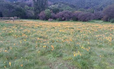 FUNDO SAN JOSE K.52 AUTOPISTA