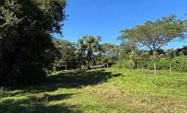 Se vende Chacra 25 ha  Con Casa y Laguna. Misiones