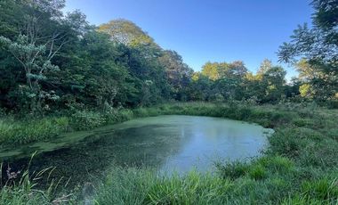 Se vende Chacra 25 ha  Con Casa y Laguna. Misiones