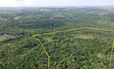 Se vende Chacra 25 ha  Con Casa y Laguna. Misiones