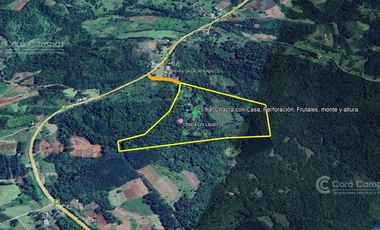 Se vende Chacra 25 ha  Con Casa y Laguna. Misiones