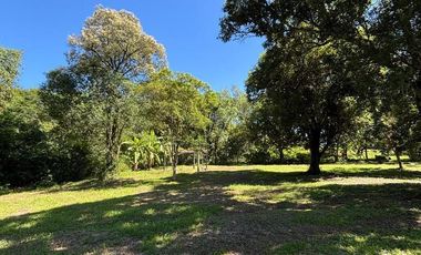 Se vende Chacra 25 ha  Con Casa y Laguna. Misiones