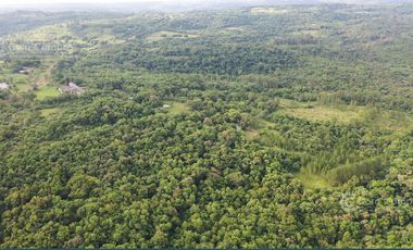 Se vende Chacra 25 ha  Con Casa y Laguna. Misiones