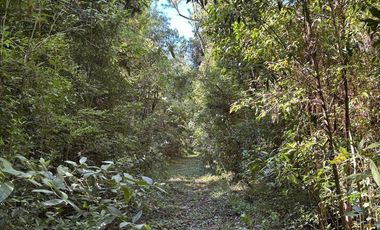 Se vende Chacra 25 ha  Con Casa y Laguna. Misiones