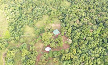 Se vende Chacra 25 ha  Con Casa y Laguna. Misiones