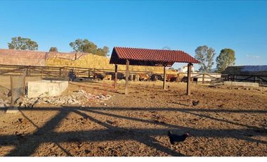 VENTA DE LOTES DE 1000 m2 EN COMPLEJO RESIDENCIAL DE 9 CONDOMINIOS CADA UNO CON SU VIÑEDO, EN SAN MIGUEL DE ALLENDE