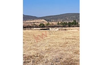 VENTA DE LOTES DE 1000 m2 EN COMPLEJO RESIDENCIAL DE 9 CONDOMINIOS CADA UNO CON SU VIÑEDO, EN SAN MIGUEL DE ALLENDE