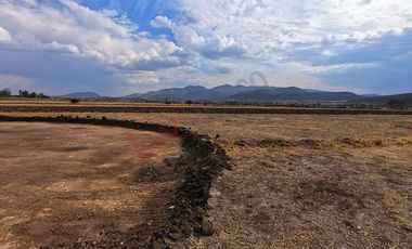 VENTA DE LOTES DE 1000 m2 EN COMPLEJO RESIDENCIAL DE 9 CONDOMINIOS CADA UNO CON SU VIÑEDO, EN SAN MIGUEL DE ALLENDE
