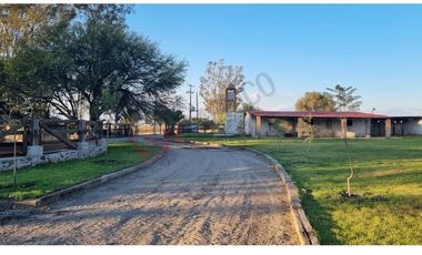 VENTA DE LOTES DE 1000 m2 EN COMPLEJO RESIDENCIAL DE 9 CONDOMINIOS CADA UNO CON SU VIÑEDO, EN SAN MIGUEL DE ALLENDE