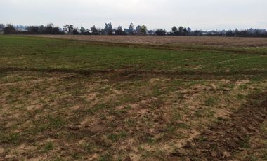 CAMPO, AGRÍCOLA EN VENTA, 16,4 HA, SAN CLEMENTE