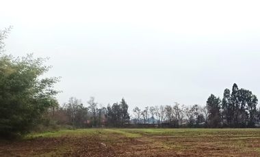 CAMPO, AGRÍCOLA EN VENTA, 16,4 HA, SAN CLEMENTE