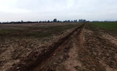 CAMPO, AGRÍCOLA EN VENTA, 16,4 HA, SAN CLEMENTE