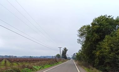 CAMPO, AGRÍCOLA EN VENTA, 16,4 HA, SAN CLEMENTE