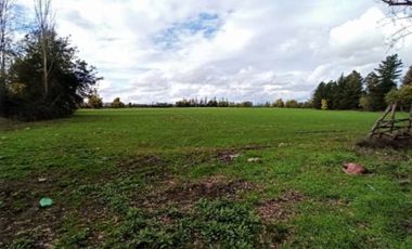 CAMPO, AGRÍCOLA EN VENTA DE 27,73 HA, YERBAS BUENAS