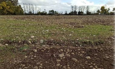 CAMPO, AGRÍCOLA EN VENTA DE 27,73 HA, YERBAS BUENAS