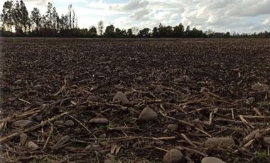 CAMPO, AGRÍCOLA EN VENTA DE 27,73 HA, YERBAS BUENAS