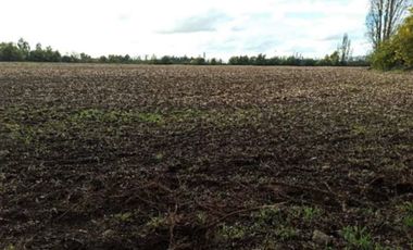 CAMPO, AGRÍCOLA EN VENTA DE 27,73 HA, YERBAS BUENAS