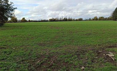 CAMPO, AGRÍCOLA EN VENTA DE 27,73 HA, YERBAS BUENAS