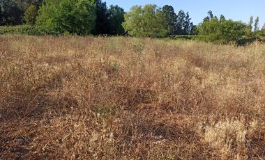 CAMPO, TERRENO AGRÍCOLA EN VENTA, 19,39 HA - RÍO CLARO