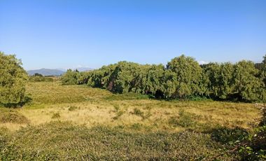 CAMPO, TERRENO AGRÍCOLA EN VENTA, 19,39 HA - RÍO CLARO