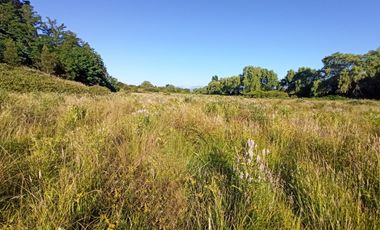 CAMPO, TERRENO AGRÍCOLA EN VENTA, 19,39 HA - RÍO CLARO