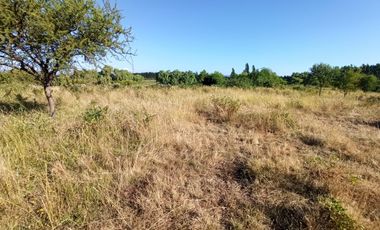 CAMPO, TERRENO AGRÍCOLA EN VENTA, 19,39 HA - RÍO CLARO