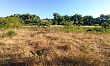 CAMPO, TERRENO AGRÍCOLA EN VENTA, 19,39 HA - RÍO CLARO