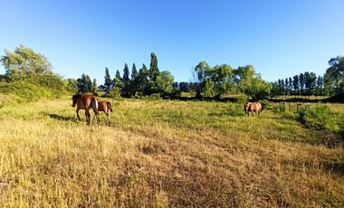 CAMPO, TERRENO AGRÍCOLA EN VENTA, 19,39 HA - RÍO CLARO
