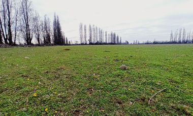 CAMPO, AGRÍCOLA EN VENTA, 12 HA, YERBAS BUENAS