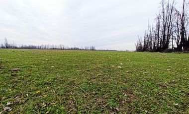 CAMPO, AGRÍCOLA EN VENTA, 12 HA, YERBAS BUENAS