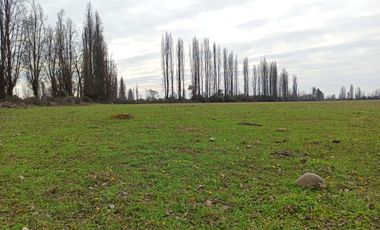 CAMPO, AGRÍCOLA EN VENTA, 12 HA, YERBAS BUENAS