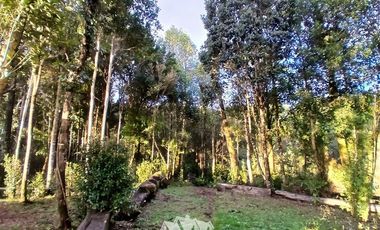 Parcela en Venta en FUNDO LAS CUMBRES