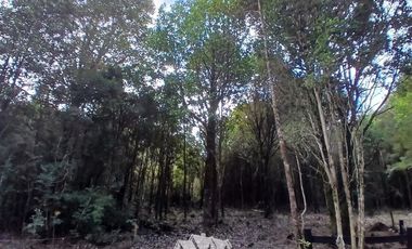 Parcela en Venta en FUNDO LAS CUMBRES