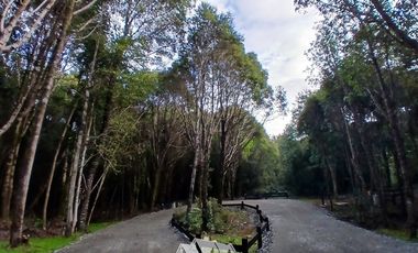 Parcela en Venta en FUNDO LAS CUMBRES