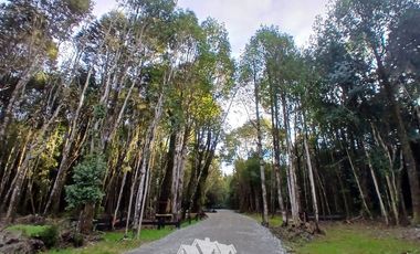 Parcela en Venta en FUNDO LAS CUMBRES