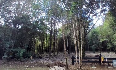 Parcela en Venta en FUNDO LAS CUMBRES